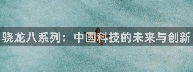 摩根娱乐是大平台吗：骁龙八系列：中国科技的未来与创新