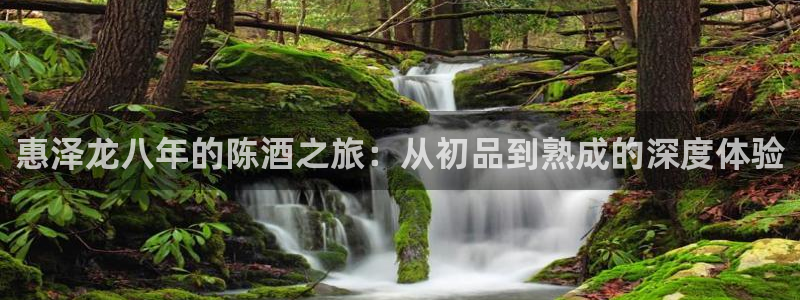 摩根娱乐注册网站：惠泽龙八年的陈酒之旅：从初品到熟成的深度体验