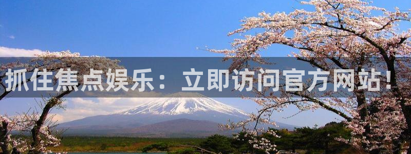 摩根娱乐电子游戏：抓住焦点娱乐：立即访问官方网站！