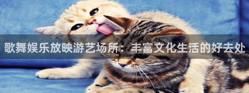 摩根娱乐预测pc在线预测网址：歌舞娱乐放映游艺场所：丰富文化生活的好去处