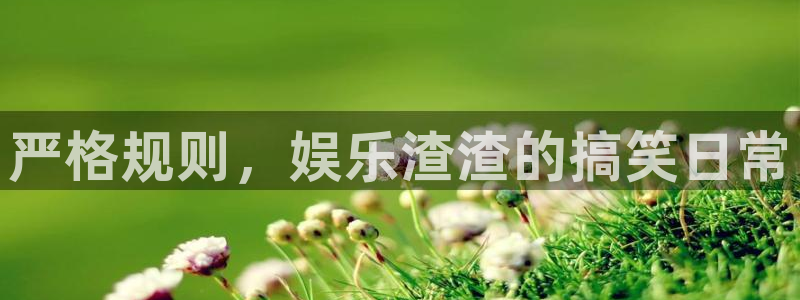 摩根娱乐2代理注册：严格规则，娱乐渣渣的搞笑日常