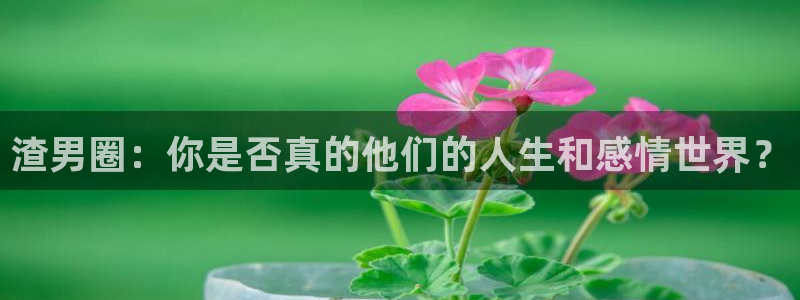 摩根娱乐手机版下载