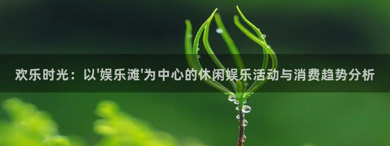 摩根娱乐官网注册：欢乐时光：以\'娱乐滩\'为中心的休闲娱乐活动与消费趋势分析