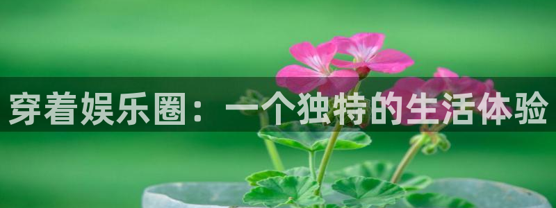 摩根娱乐下载入口：穿着娱乐圈：一个独特的生活体验