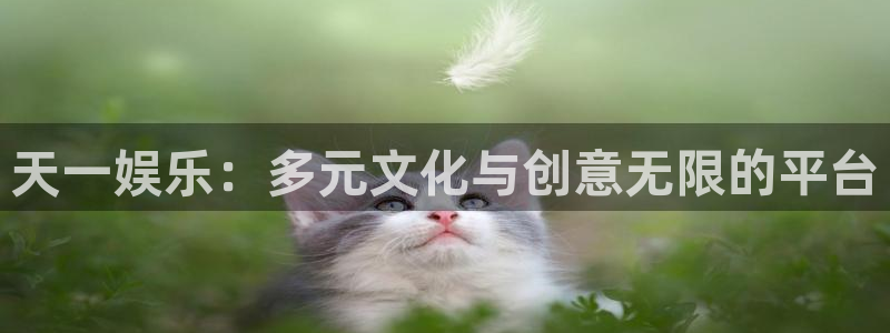 pg摩根娱乐平台下载入口：天一娱乐：多元文化与创意无限的平台
