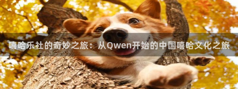 摩根娱乐.ccm苹果版：嘻哈乐社的奇妙之旅：从Qwen开始的中国嘻哈文化之旅