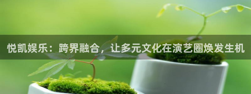 摩根娱乐4注册：悦凯娱乐：跨界融合，让多元文化在演艺圈焕发生机