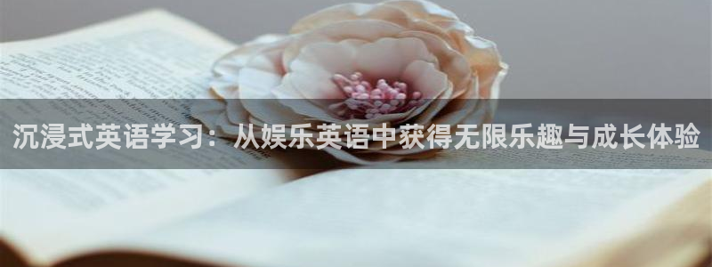 摩根娱乐平台在线注册：沉浸式英语学习：从娱乐英语中获得无限乐趣与成长体验