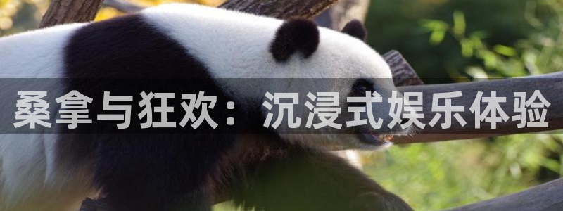 摩根娱乐平台官方入口下载：桑拿与狂欢：沉浸式娱乐体验