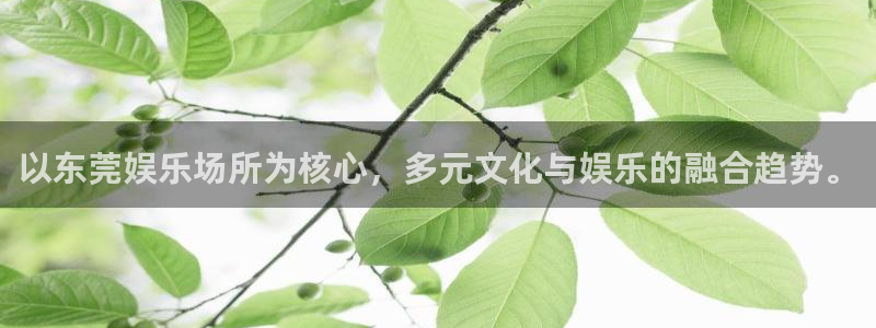 摩根娱乐官网：以东莞娱乐场所为核心，多元文化与娱乐的融合趋势。