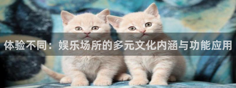 摩根娱乐体育合法嘛：体验不同：娱乐场所的多元文化内涵与功能应用
