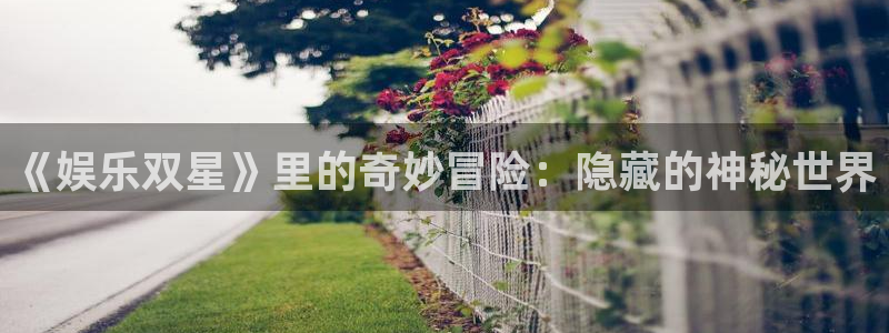 摩根娱乐体育合法嘛：《娱乐双星》里的奇妙冒险：隐藏的神秘世界