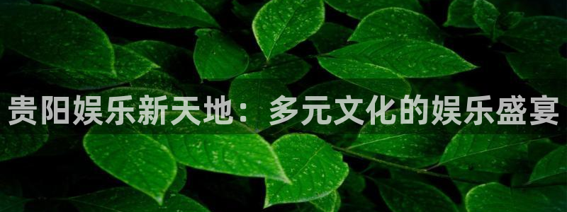 摩根娱乐app 是什么：贵阳娱乐新天地：多元文化的娱乐盛宴